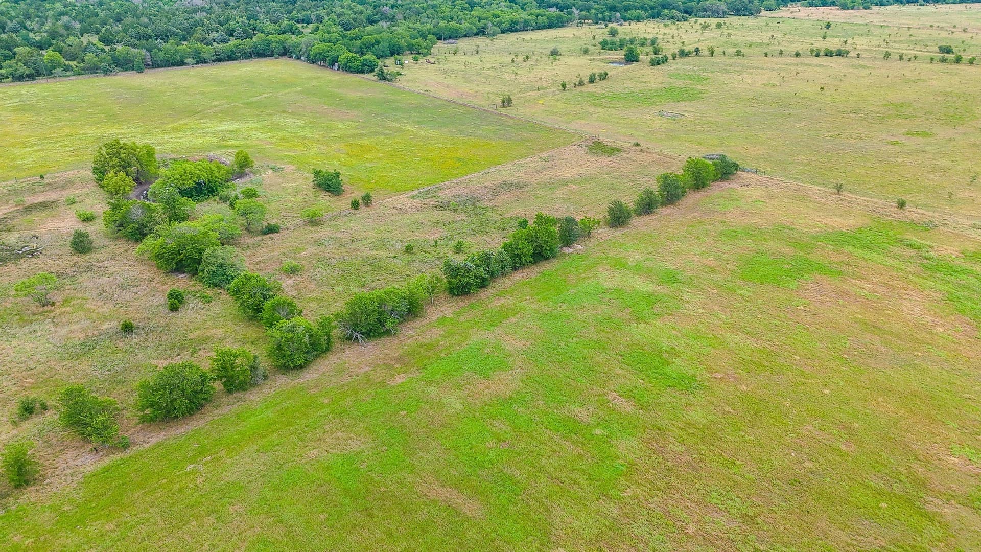 5 acres in Navarro County gallery image 2