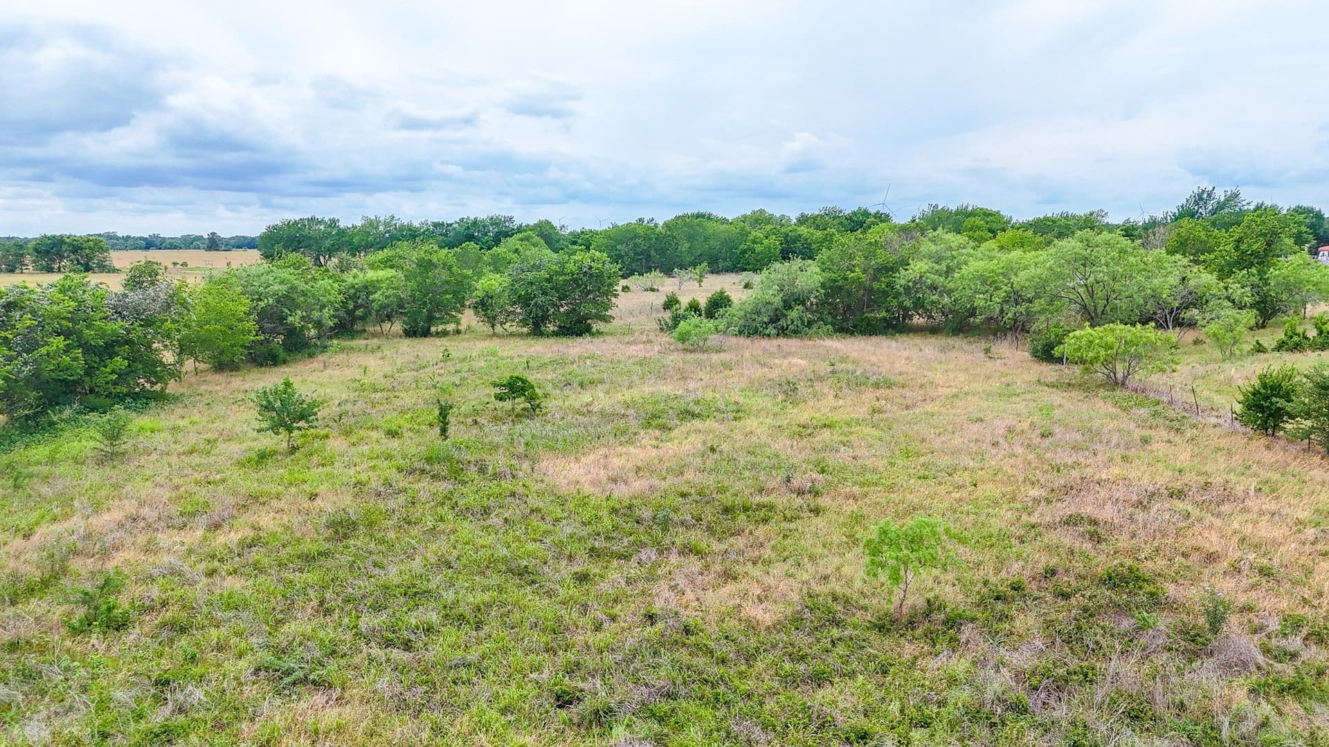 5 acres in Navarro County - photo 9
