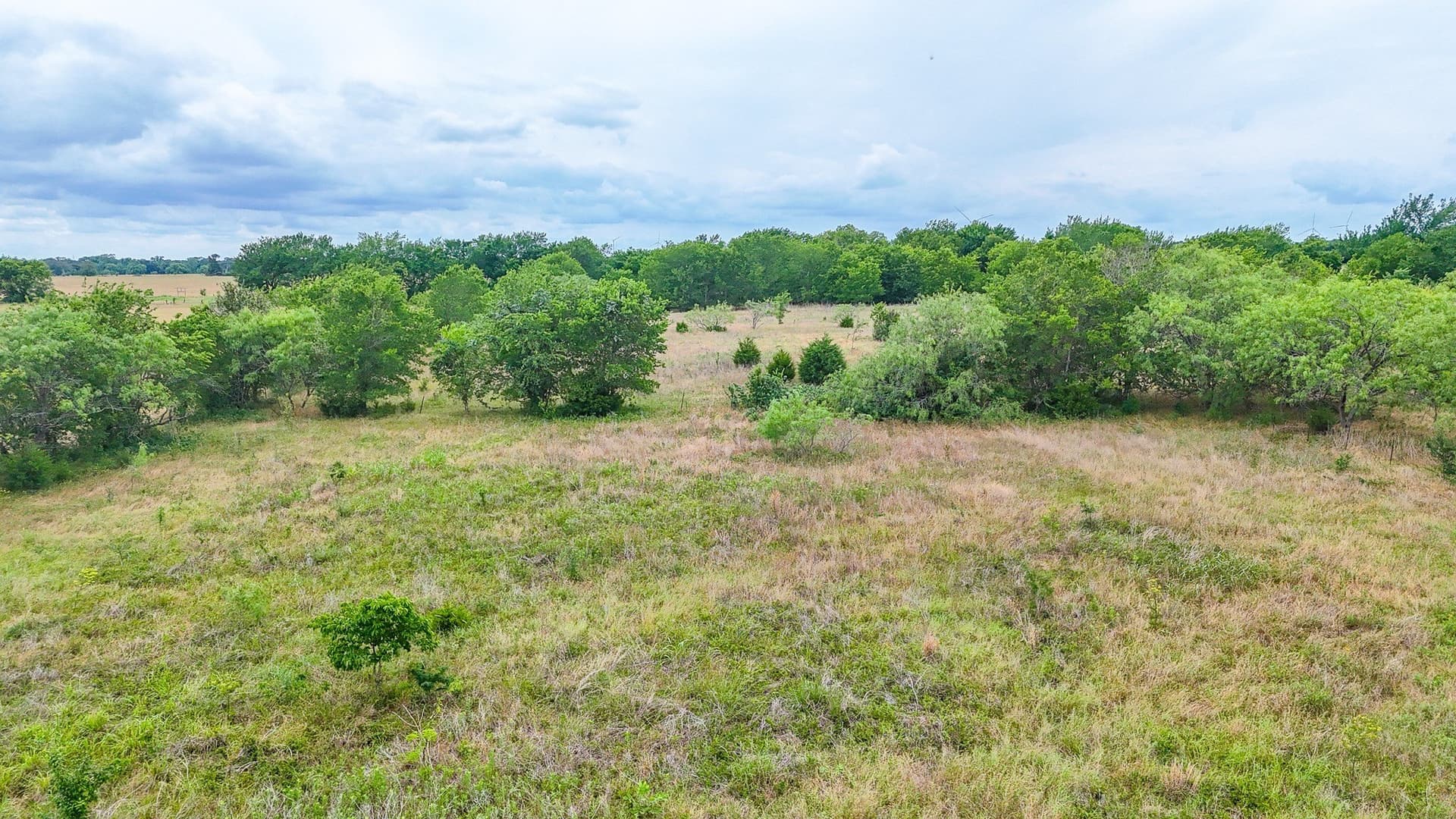 5 acres in Navarro County - photo 10