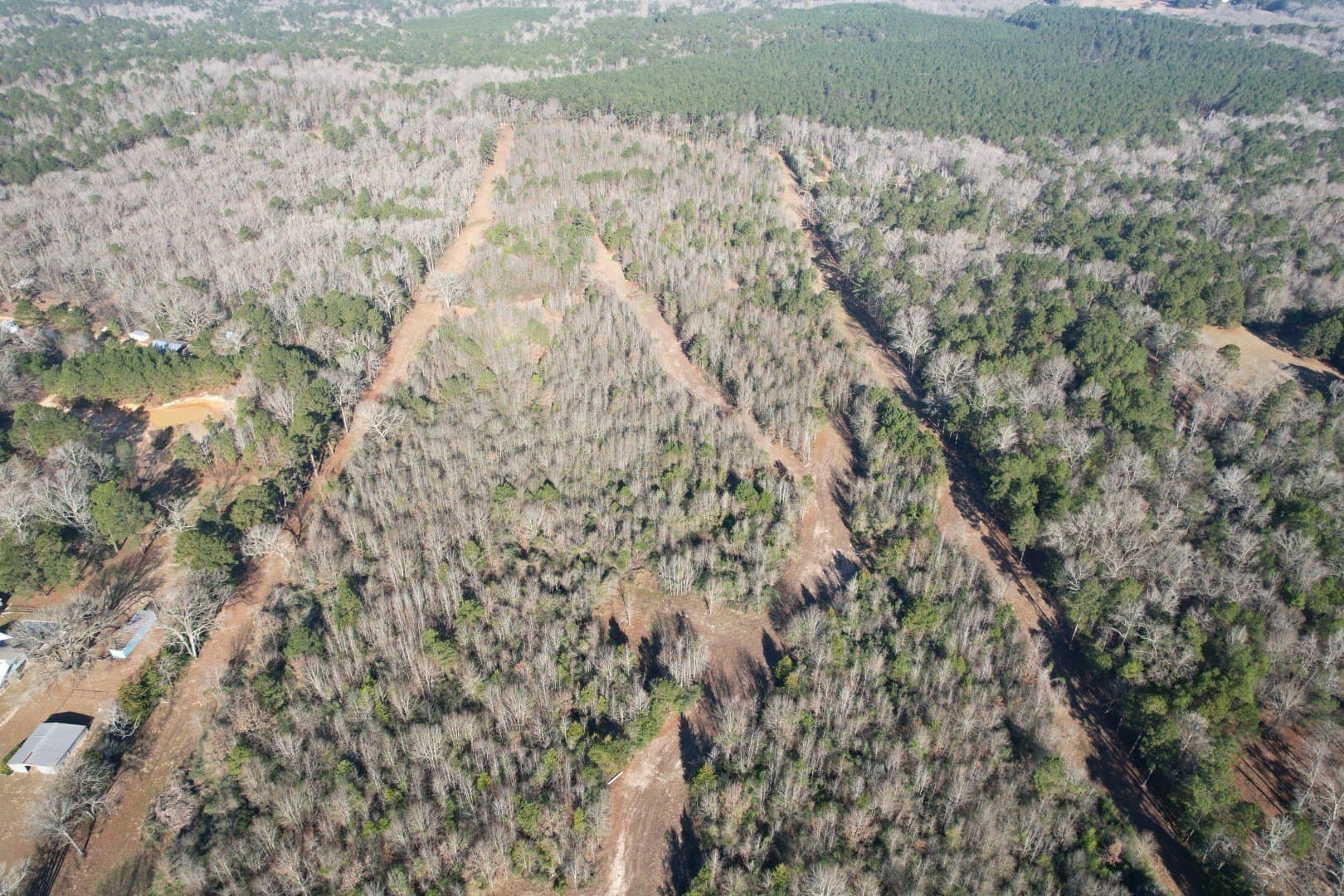 36.36 acres in Shelby County gallery image 4