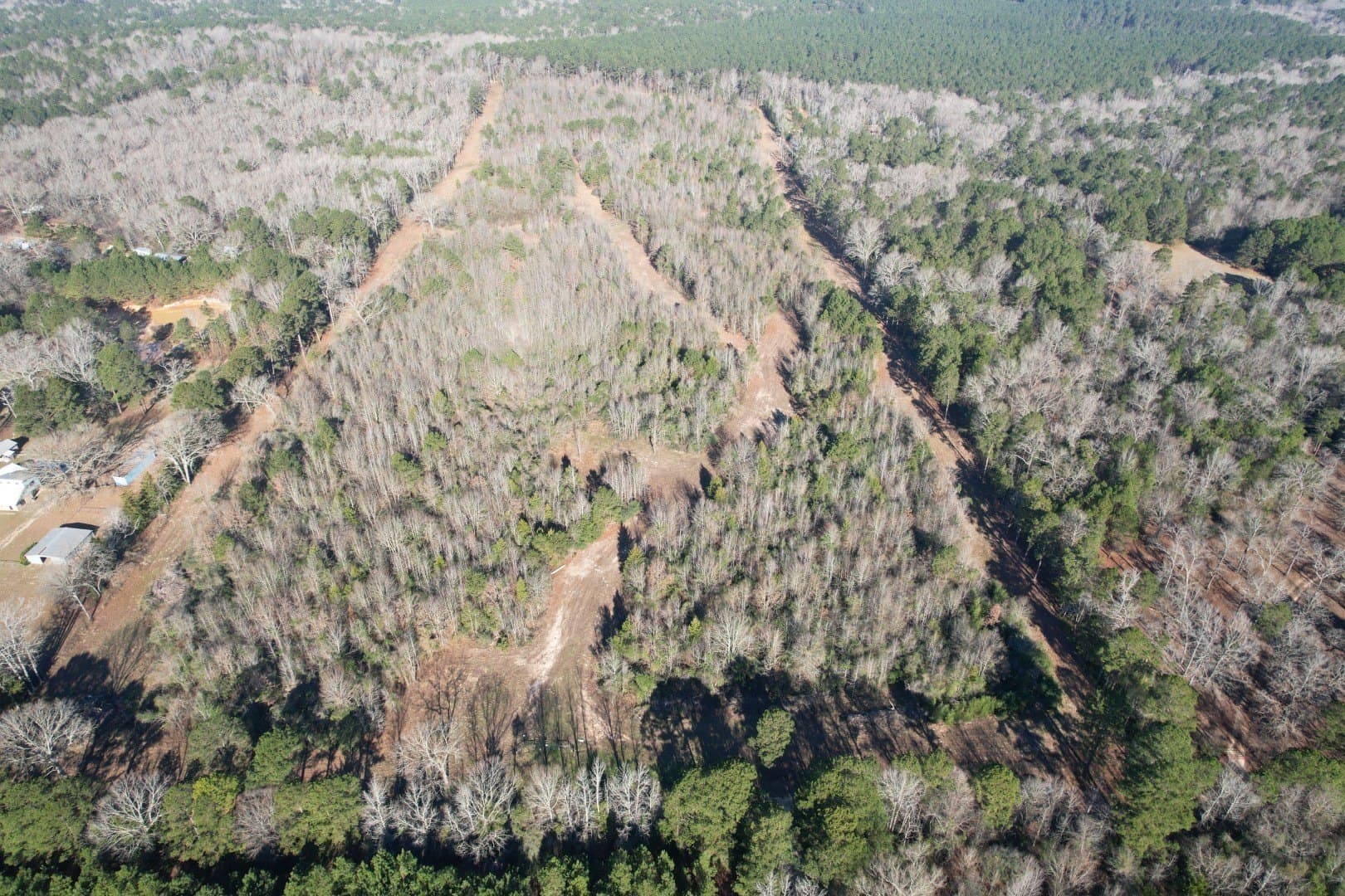 36.36 acres in Shelby County gallery image 3