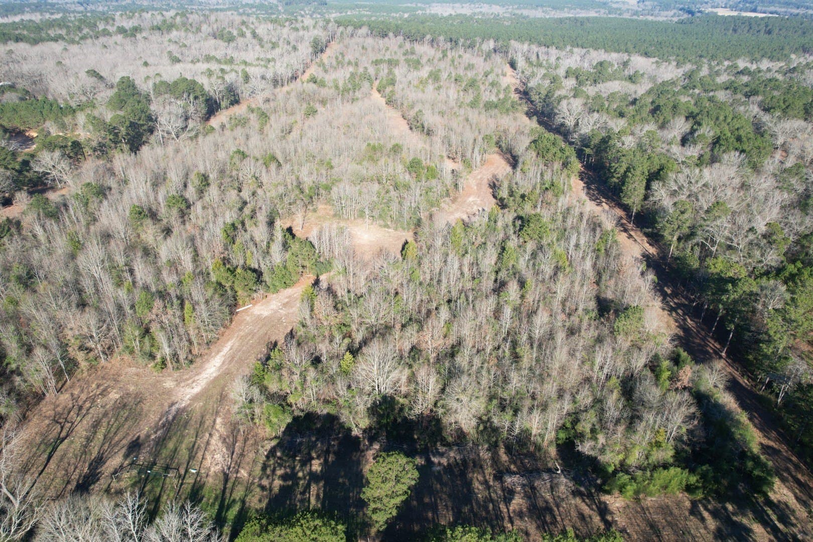 36.36 acres in Shelby County gallery image 2