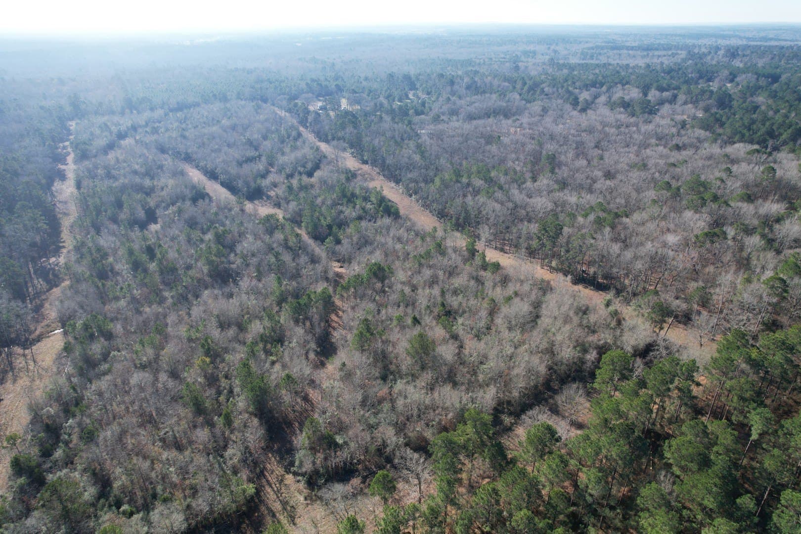 36.36 acres in Shelby County featured view