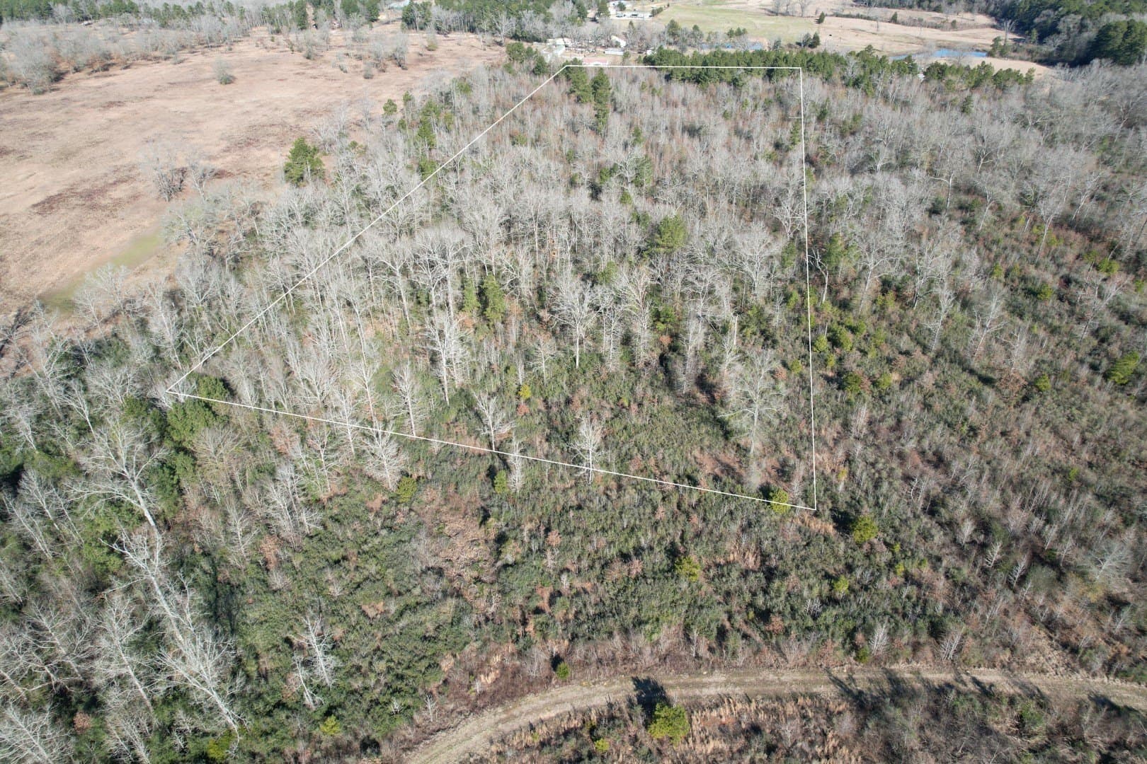 15.5 acres in Shelby County gallery image 2
