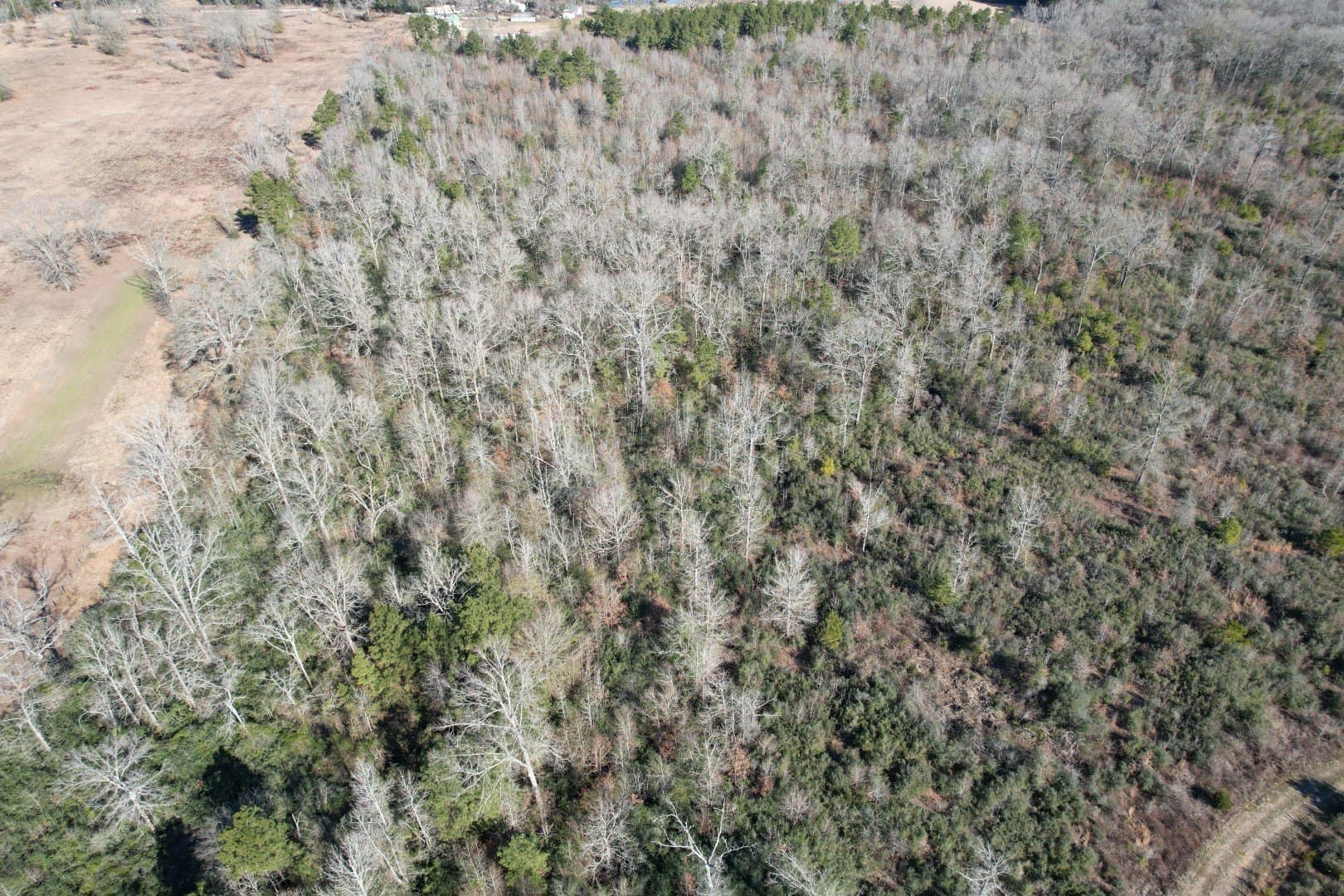 15.5 acres in Shelby County gallery image 4