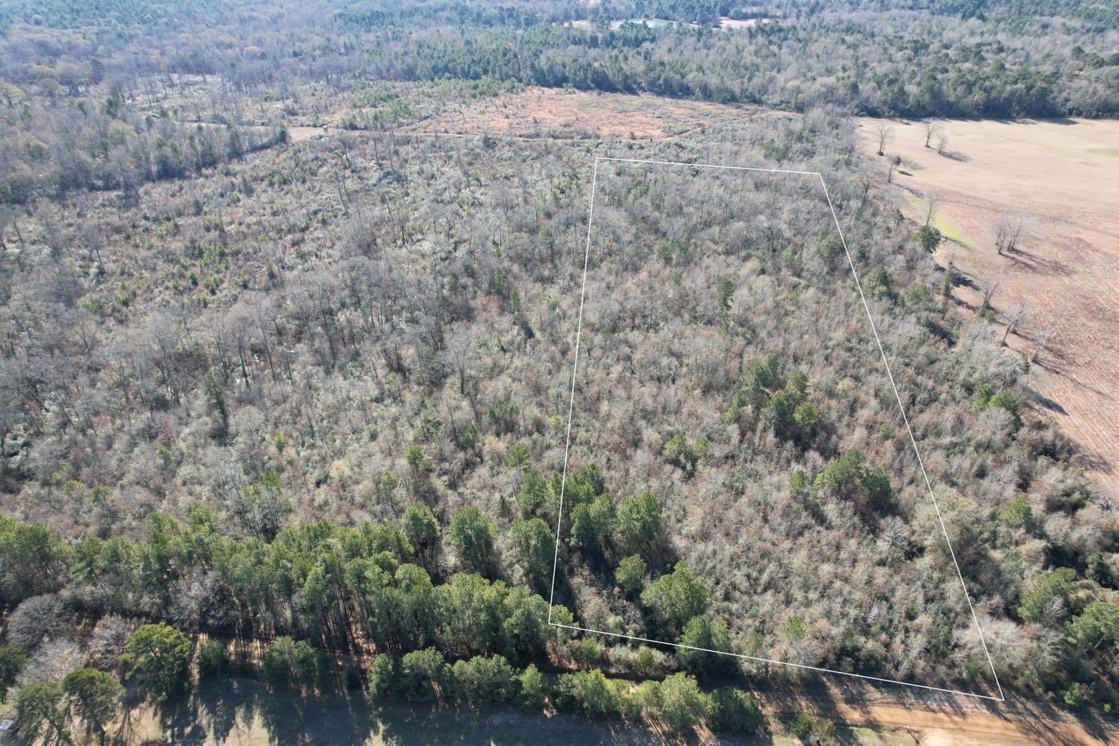 15.5 acres in Shelby County gallery image 3