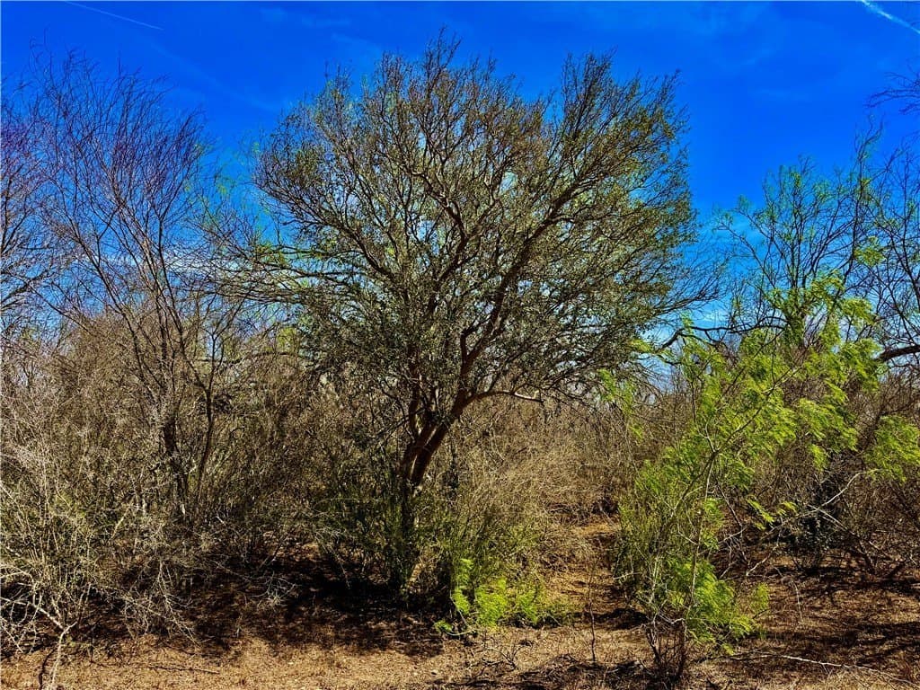 40.48 acres in Duval County gallery image 4