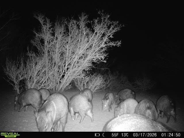 40.48 acres in Duval County gallery image 3