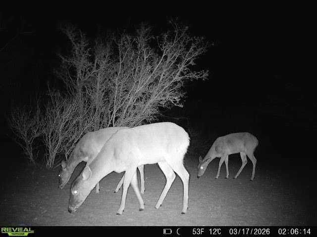 40.48 acres in Duval County featured view