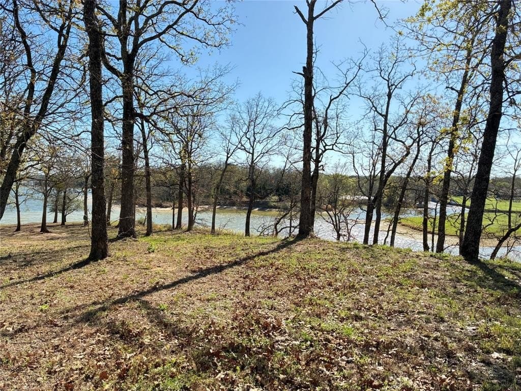 0.66 acres in Henderson County gallery image 4