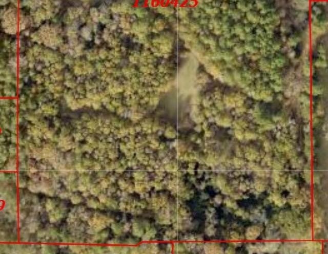 10.24 acres in Gregg County gallery image 3