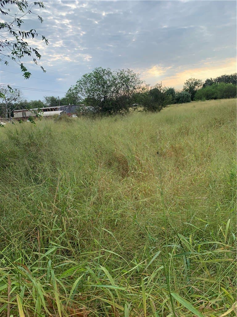 4 acres in Nueces County
