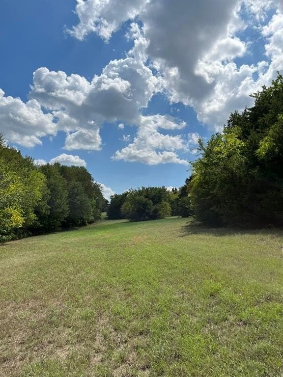 40 acres in Grayson County gallery image 2