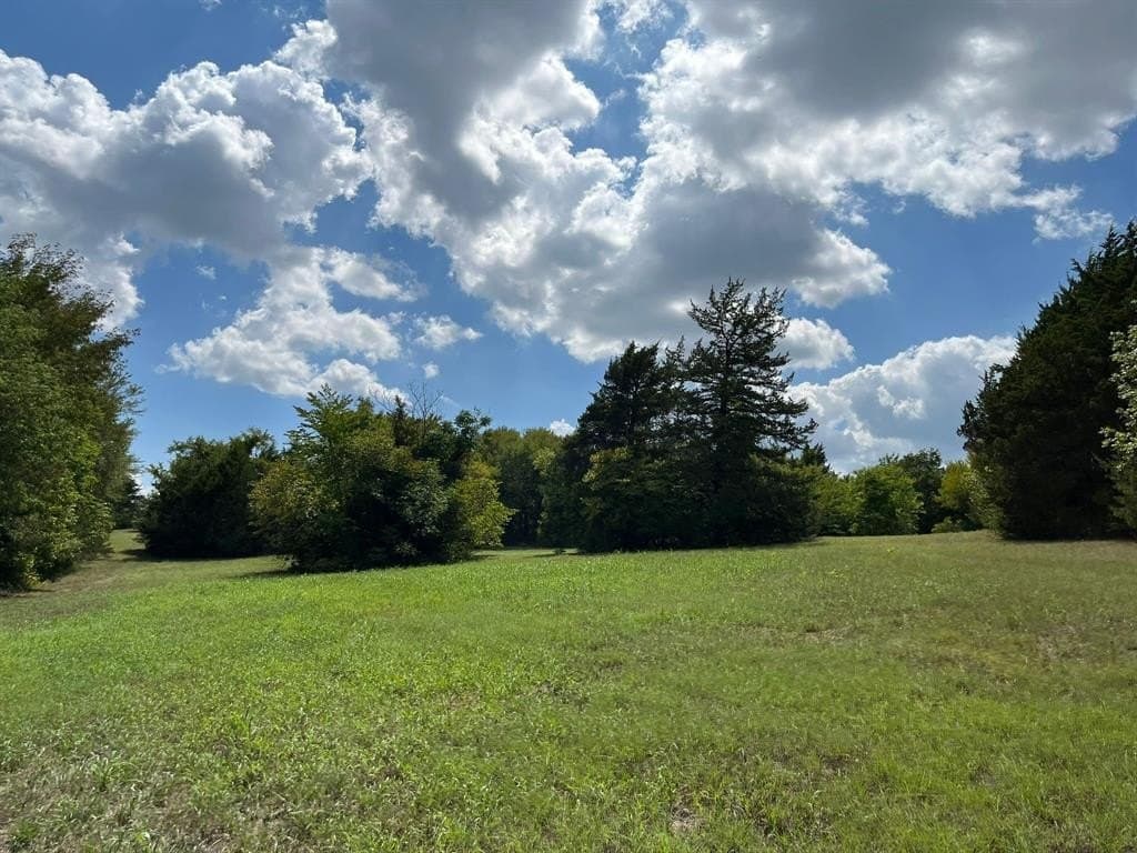 40 acres in Grayson County