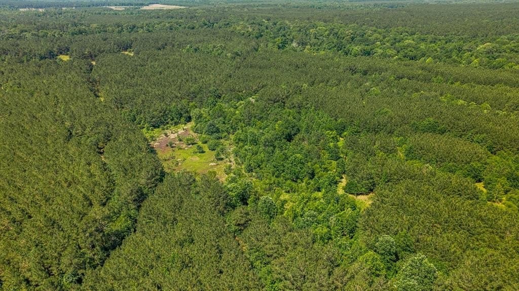 95 acres in Texas County - photo 13