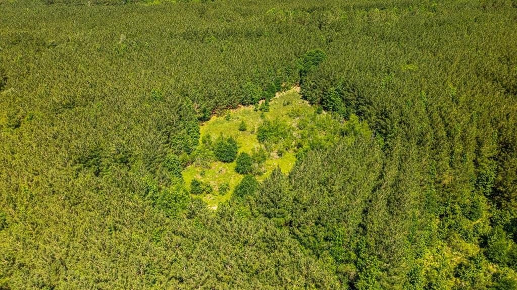 95 acres in Texas County - photo 15