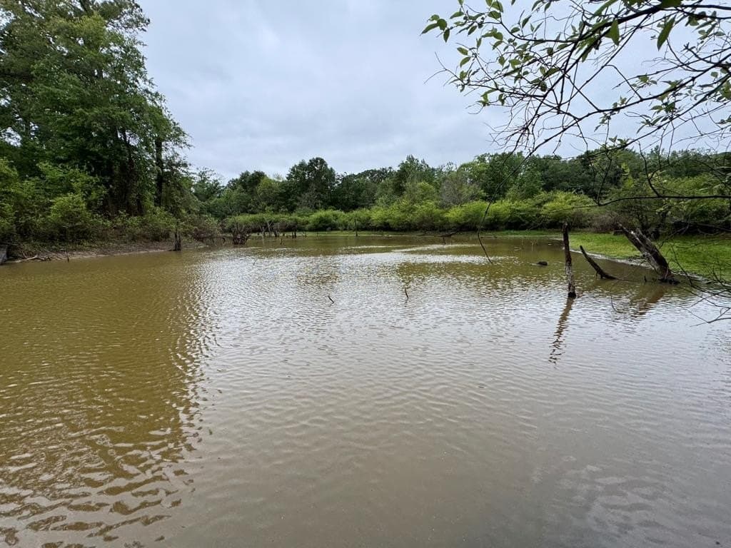 95 acres in Texas County - photo 32