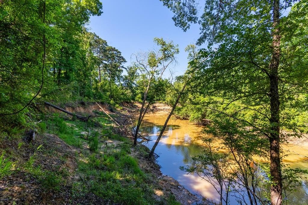 95 acres in Texas County gallery image 2