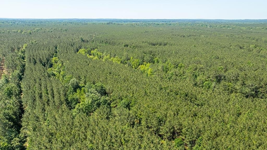 95 acres in Texas County - photo 20