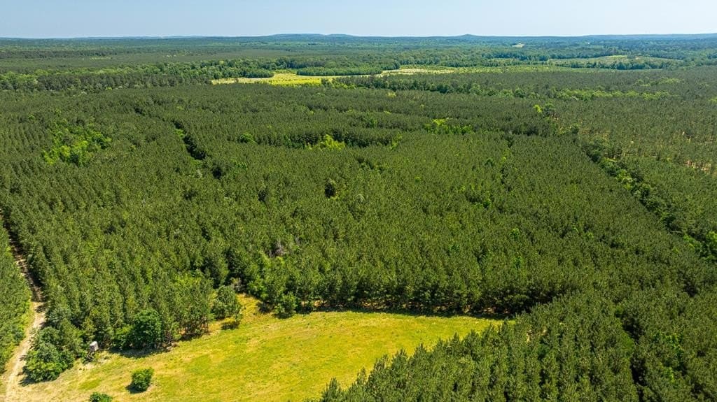 95 acres in Texas County - photo 8