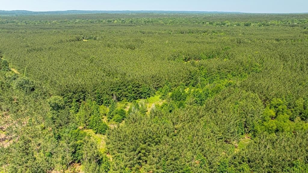 95 acres in Texas County - photo 18