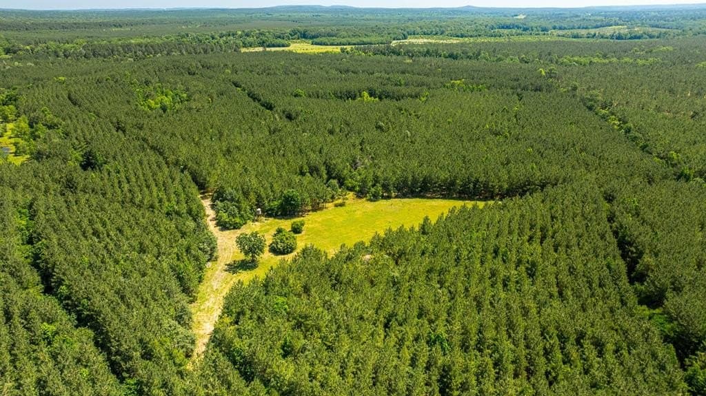 95 acres in Texas County - photo 9