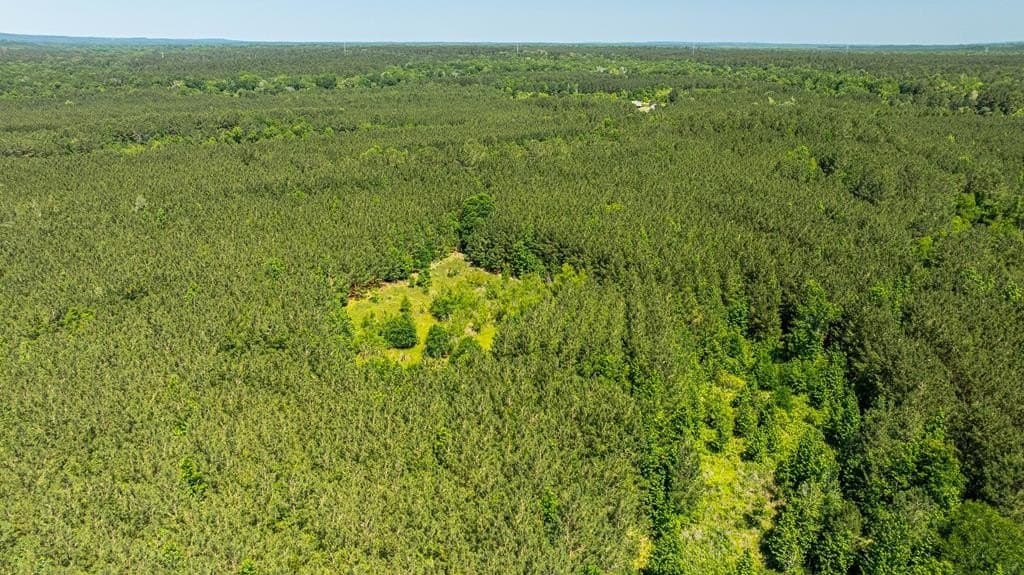 95 acres in Texas County featured view