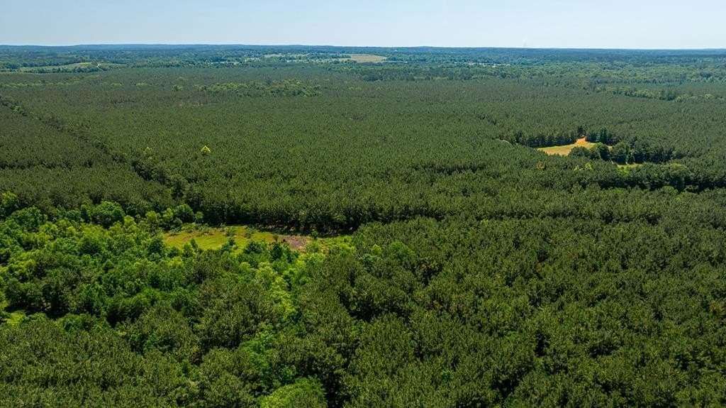 95 acres in Texas County - photo 11