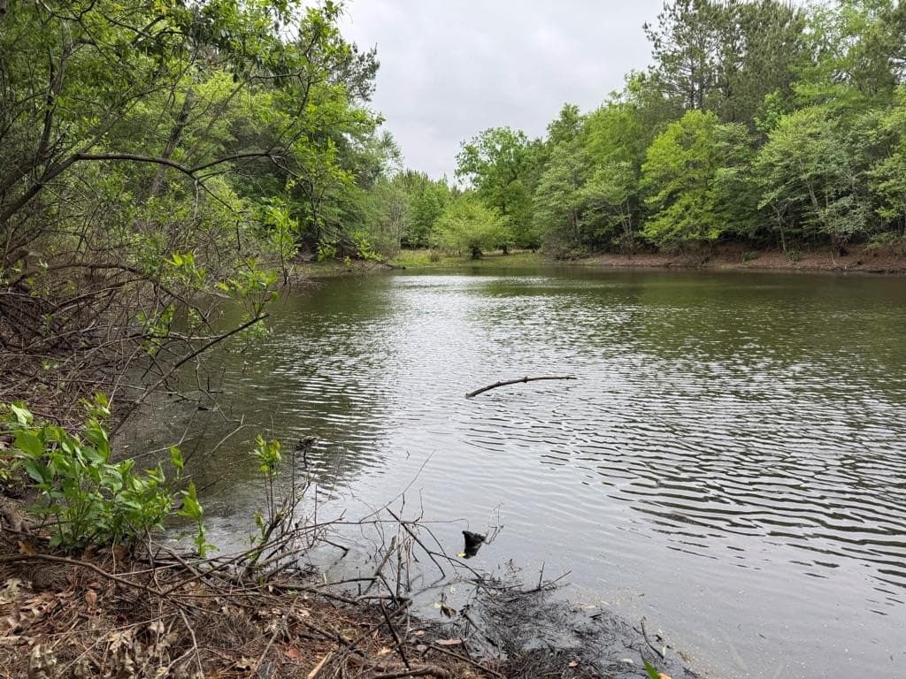 95 acres in Texas County - photo 33