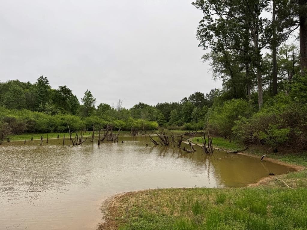 95 acres in Texas County - photo 27