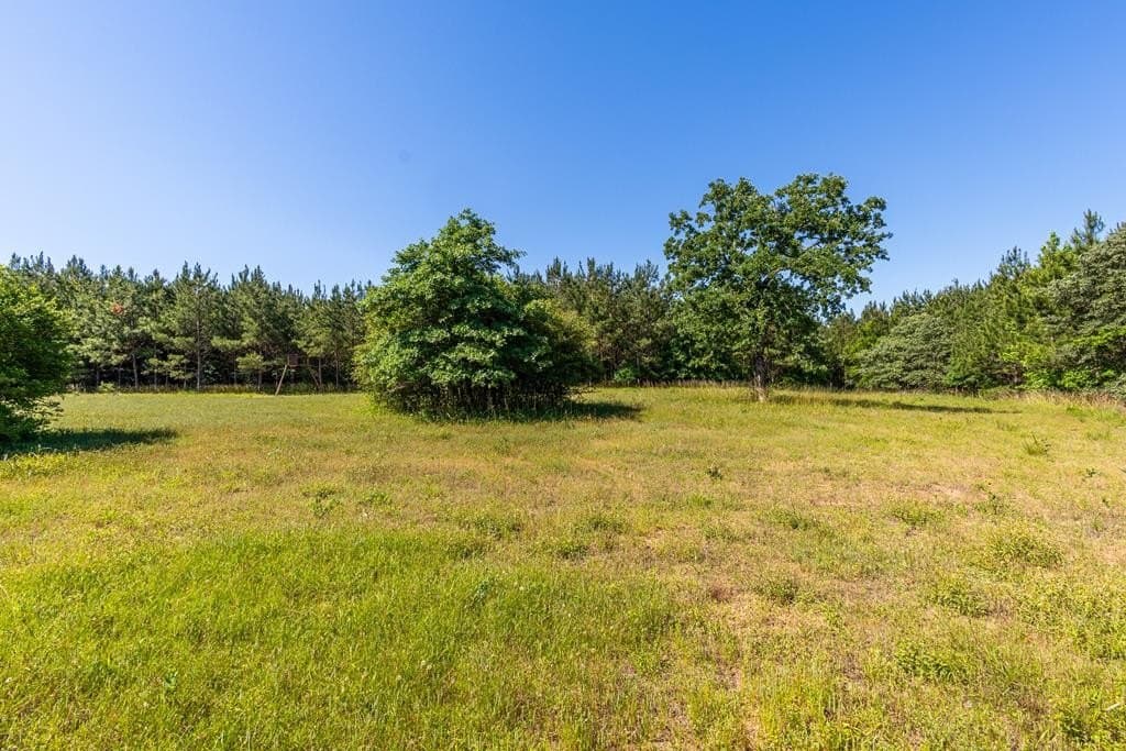 95 acres in Texas County - photo 25