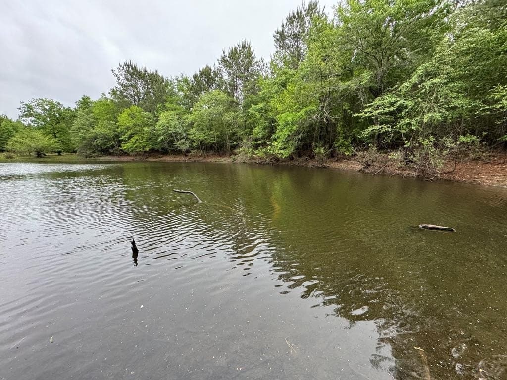95 acres in Texas County - photo 29