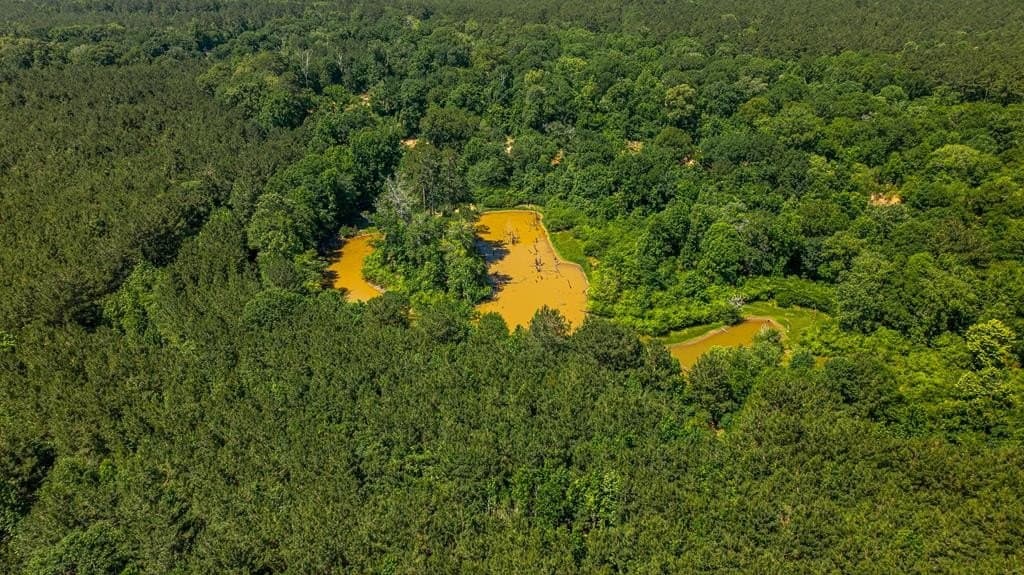 95 acres in Texas County gallery image 4