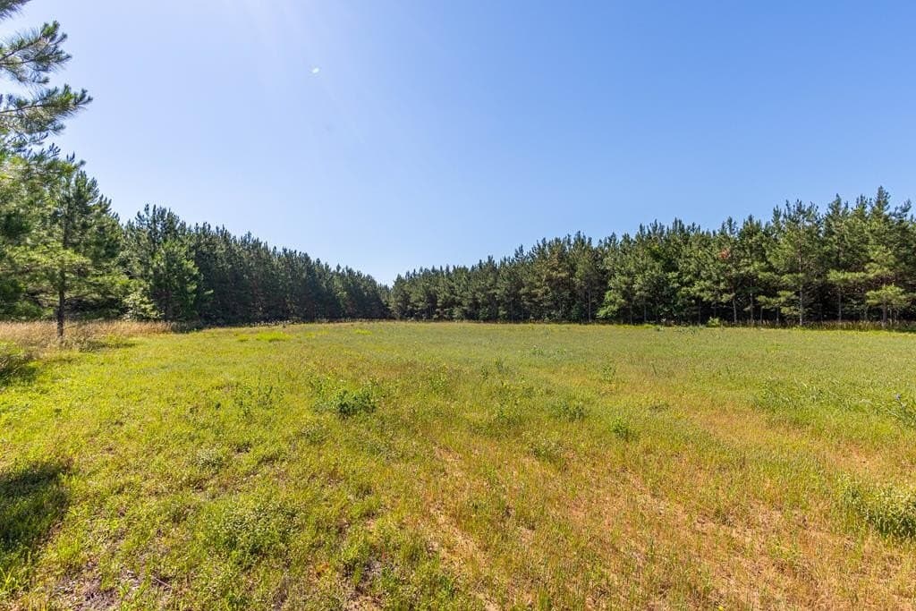 95 acres in Texas County - photo 24