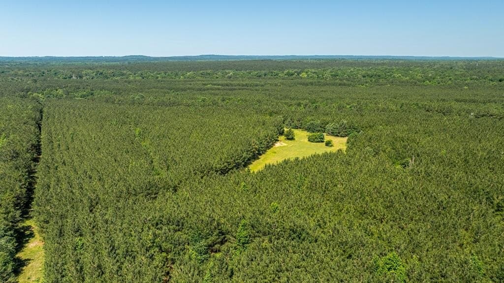 95 acres in Texas County - photo 16
