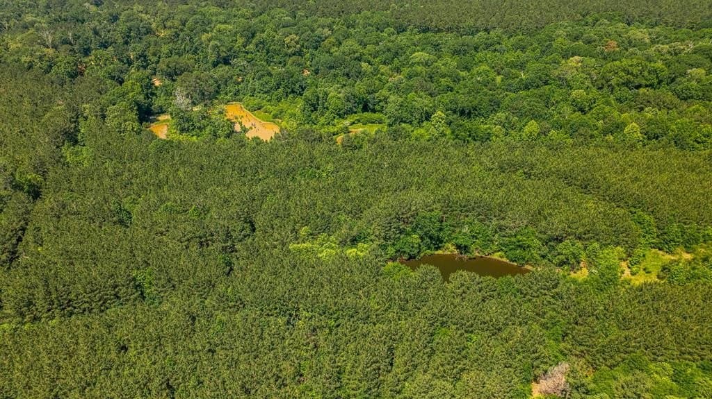 95 acres in Texas County - photo 14