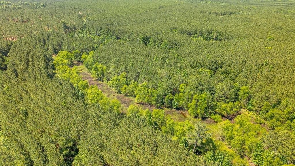 95 acres in Texas County gallery image 3