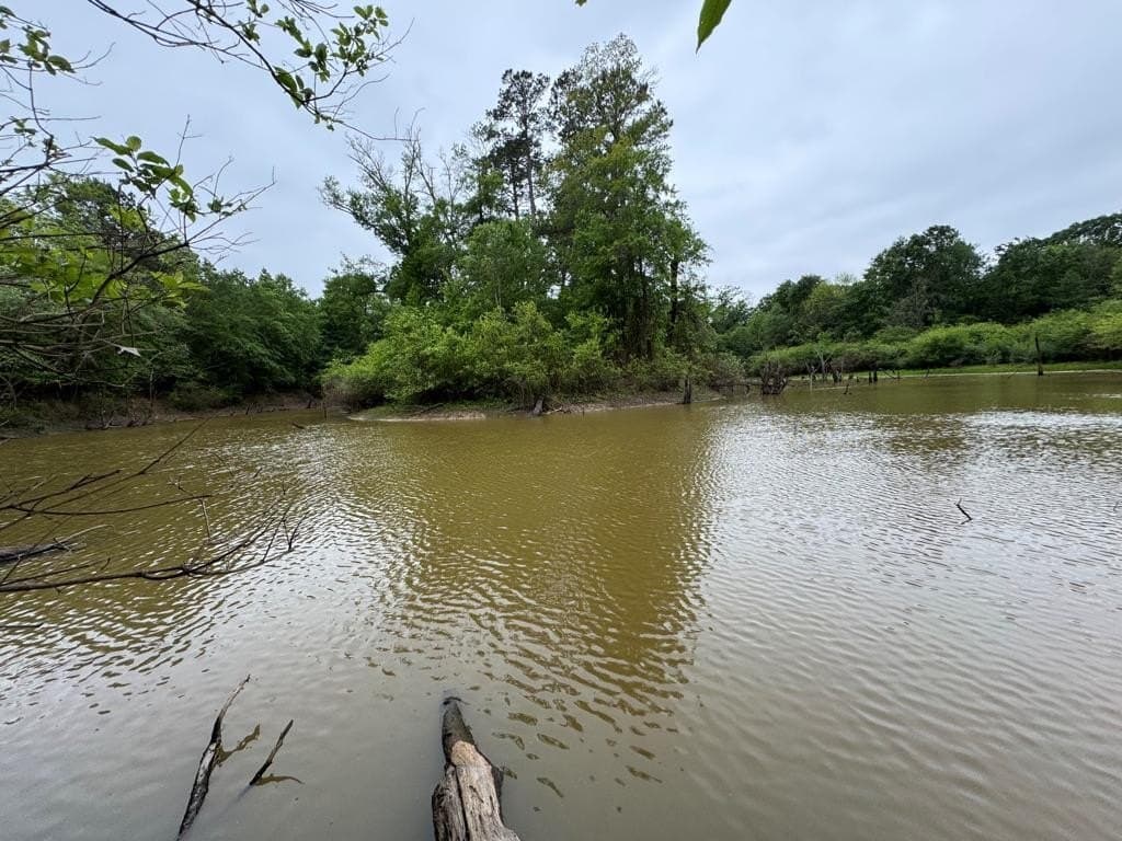 95 acres in Texas County - photo 26