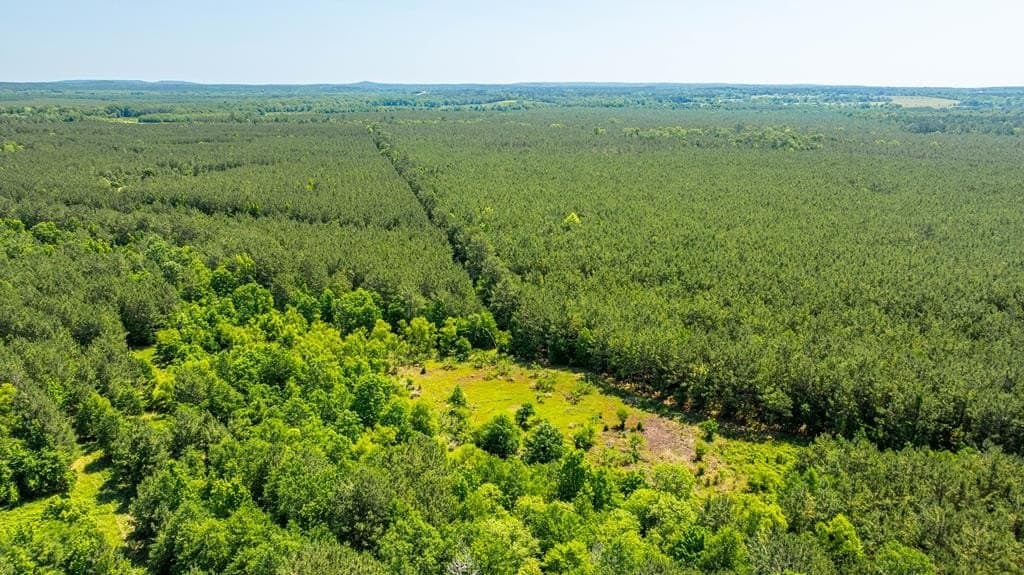 95 acres in Texas County - photo 10