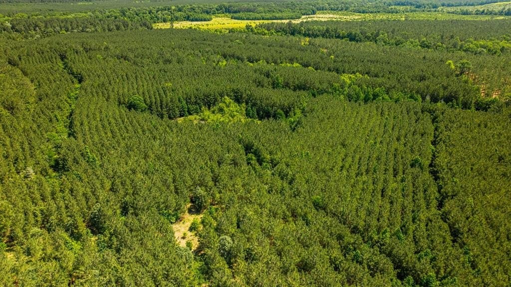 95 acres in Texas County - photo 7