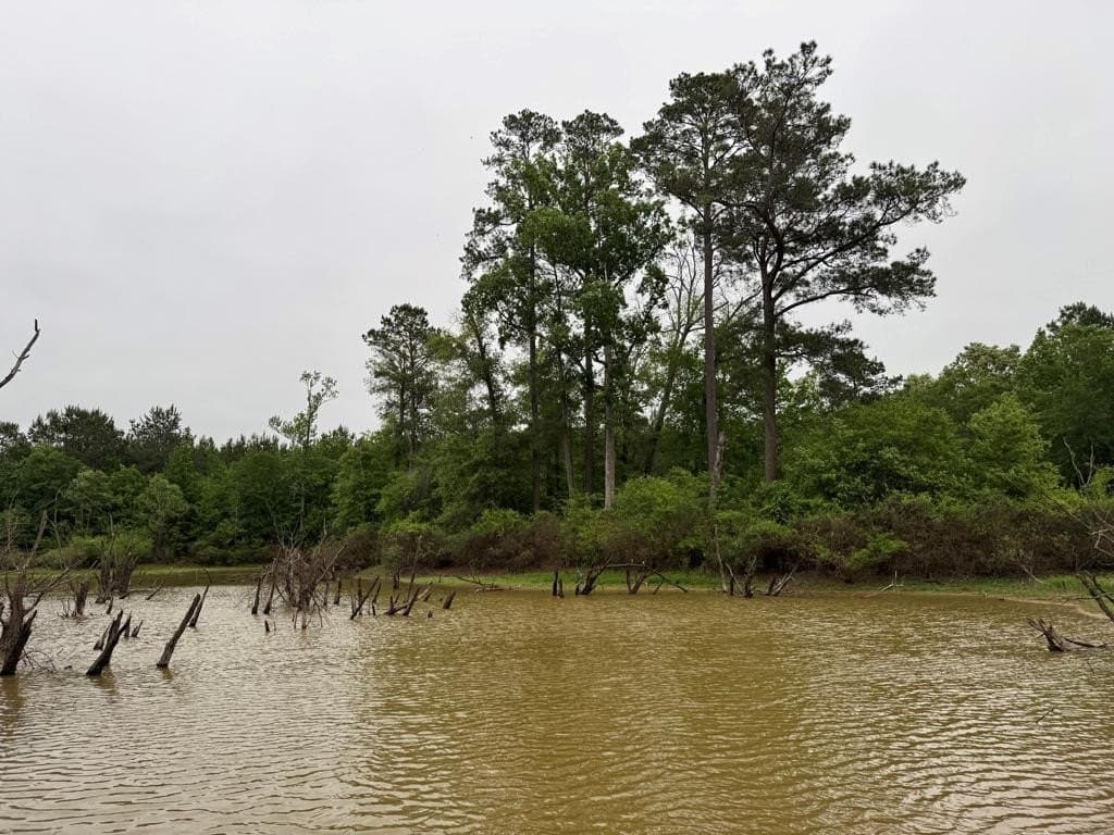 95 acres in Texas County - photo 28