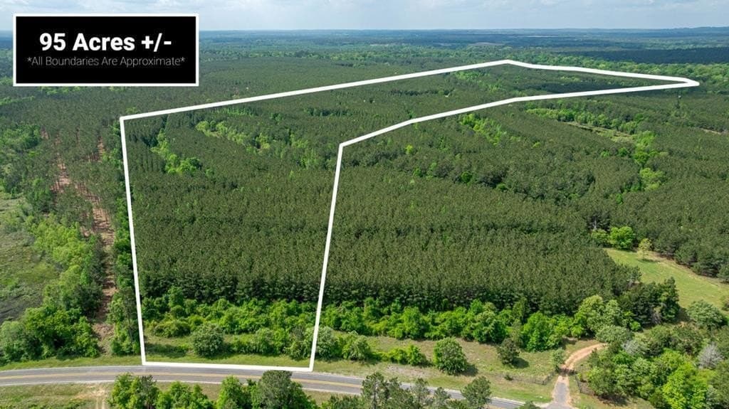 95 acres in Texas County - photo 34