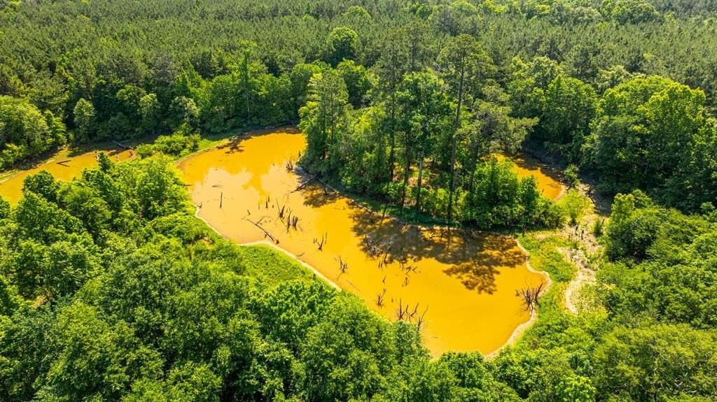 95 acres in Texas County - photo 22