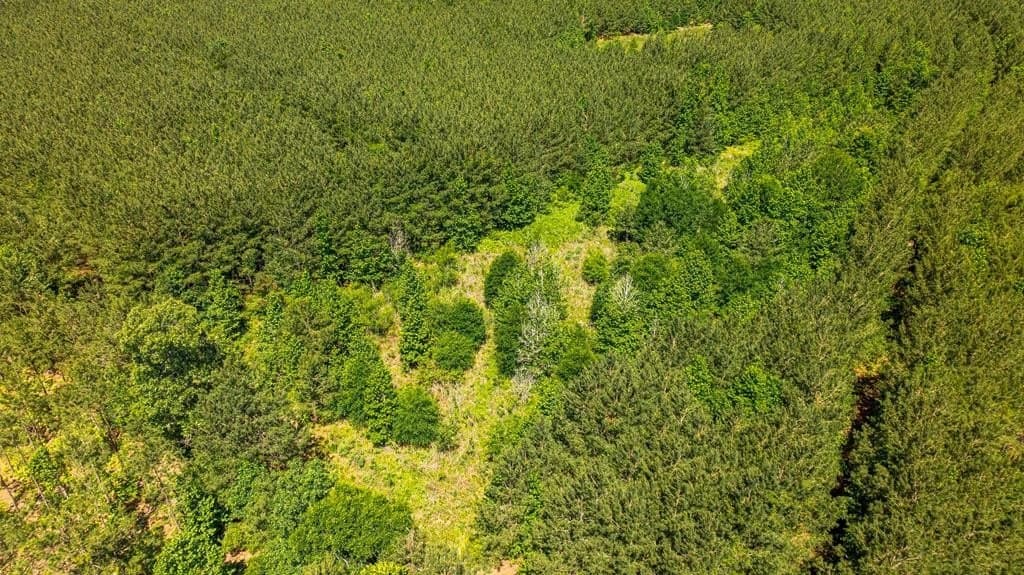 95 acres in Texas County - photo 17