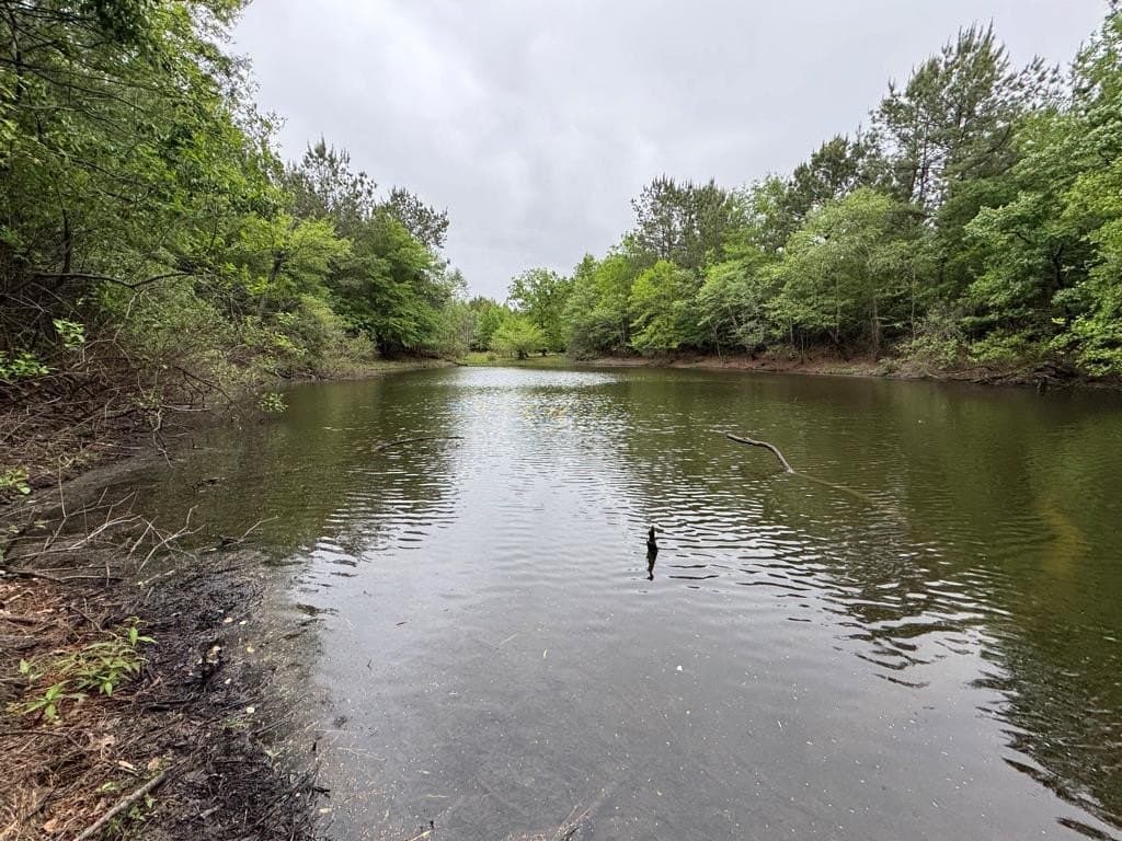 95 acres in Texas County - photo 31