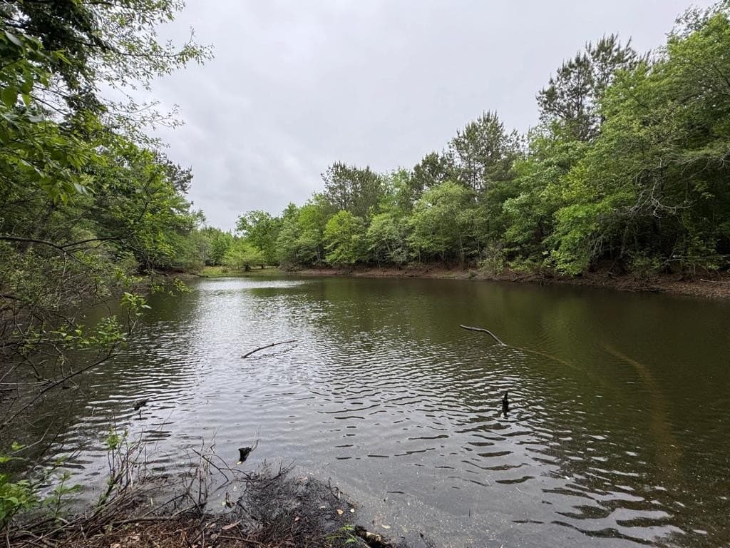 95 acres in Texas County - photo 30