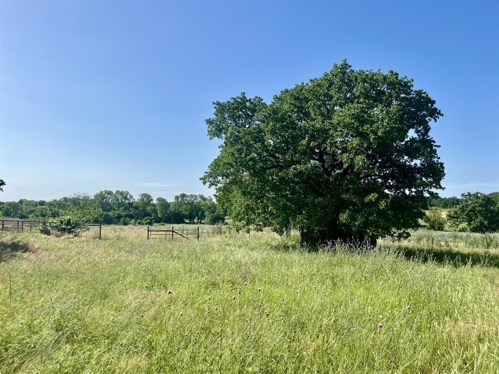 4.3 acres in Parker County gallery image 4