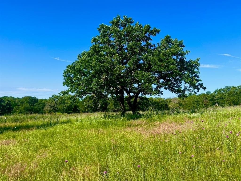 4.3 acres in Parker County featured view