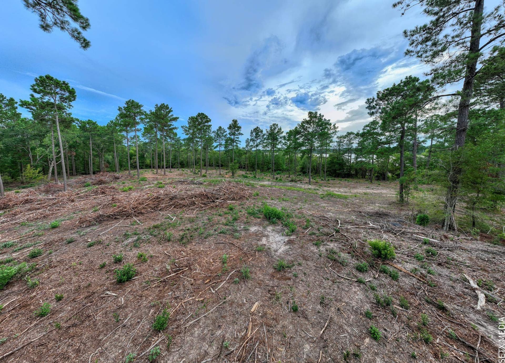 20 acres in Texas County featured view