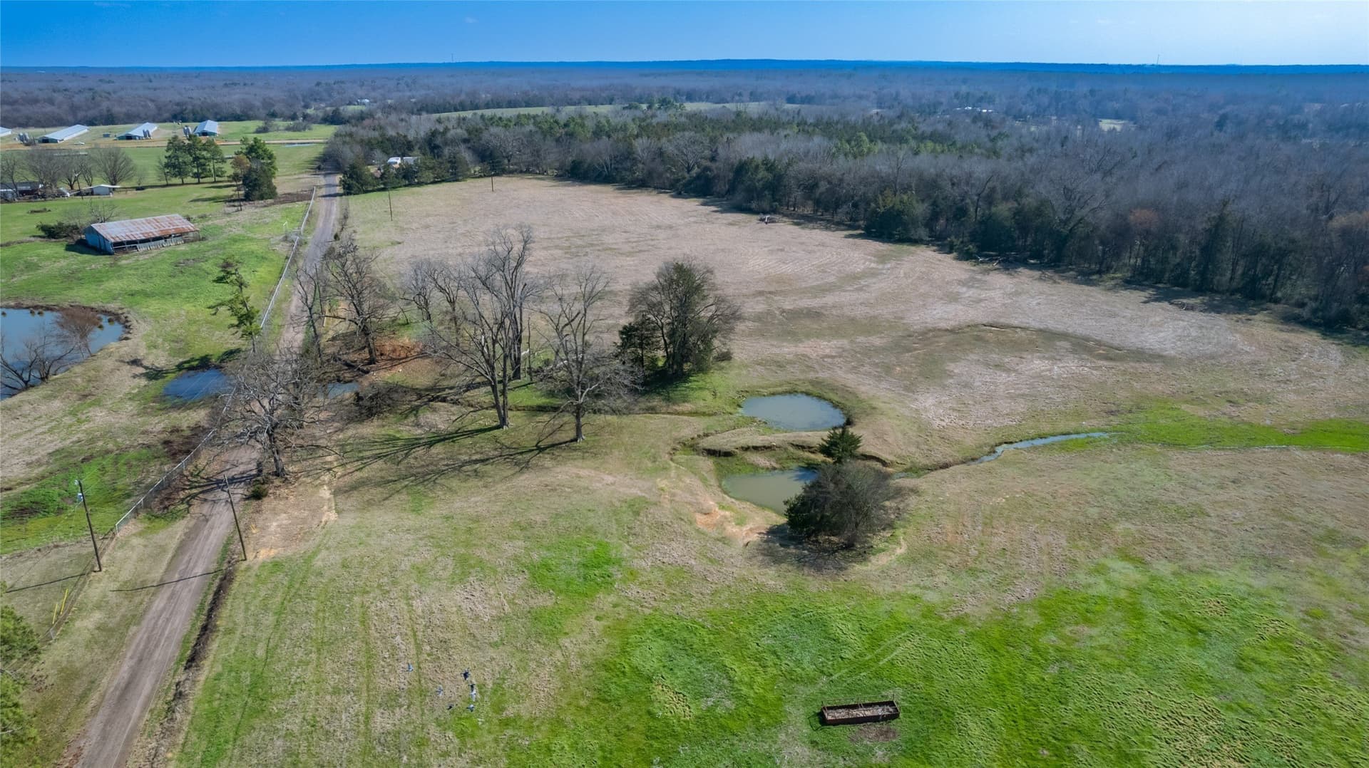 167.01 acres in Hopkins County - photo 25